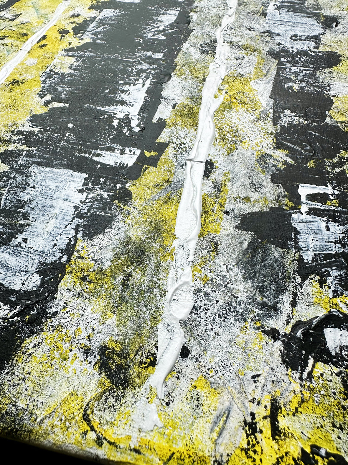 Black & Yellow Widow